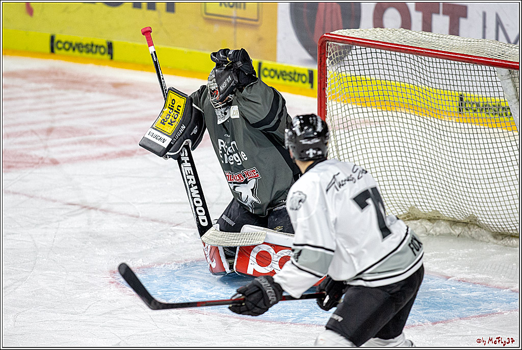 DEL; Koelner Haie - Thomas Sabo Ice Tigers, 28.11.2018